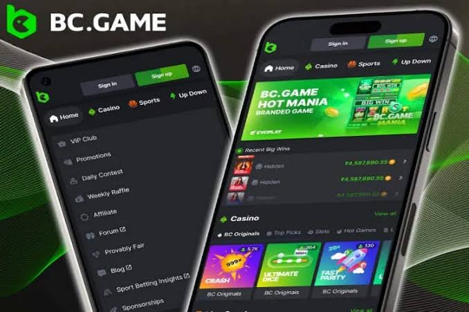 BC.Game Your Ultimate Online Gaming Platform for Fun and Rewards